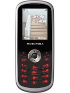 Best available price of Motorola WX290 in Vaticancity
