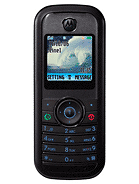 Best available price of Motorola W205 in Vaticancity