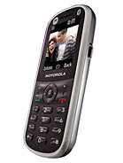 Best available price of Motorola WX288 in Vaticancity