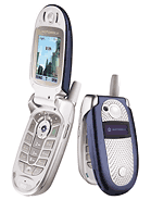 Best available price of Motorola V560 in Vaticancity