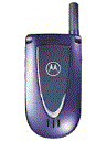 Best available price of Motorola V66i in Vaticancity