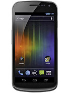 Best available price of Samsung Galaxy Nexus I9250 in Vaticancity
