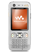 Best available price of Sony Ericsson W890 in Vaticancity